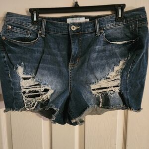 Torrid denim shorts